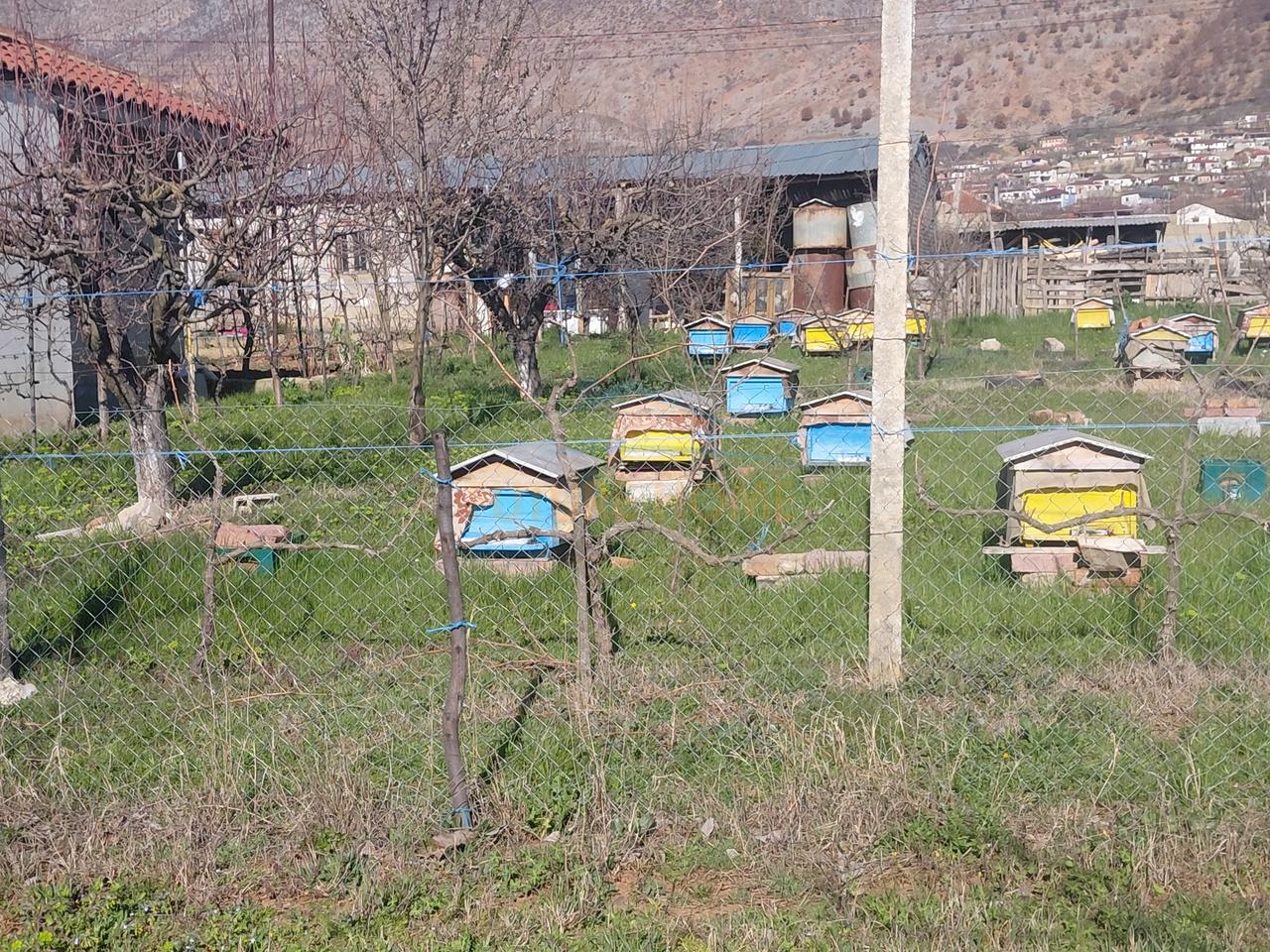 Shitet , Shtëpi Private + Truall +  Tokë Arë , Podgorie ,Maliq