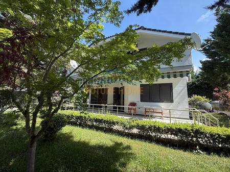 Shitet Vilë 2- Katëshe, fashti turistik Mondi i Rikes, Golem