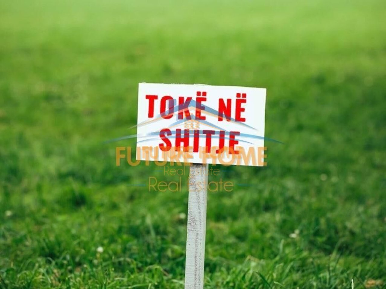 Shitet, Tokë Arë, Prush, Tiranë.