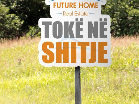 Shitet, Toke, Golem, Durres