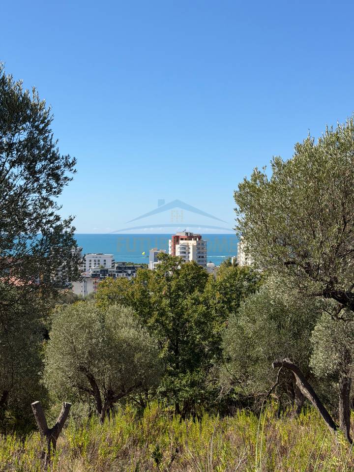 Land for sale, Golem