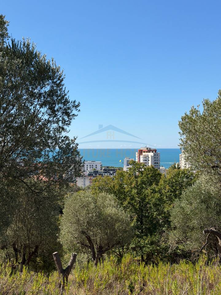 Land for sale, Golem