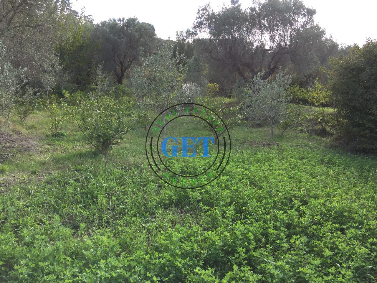 Shitet Tokë me Pamje Deti ne Karpen te Kavajës, Golem ,Durres