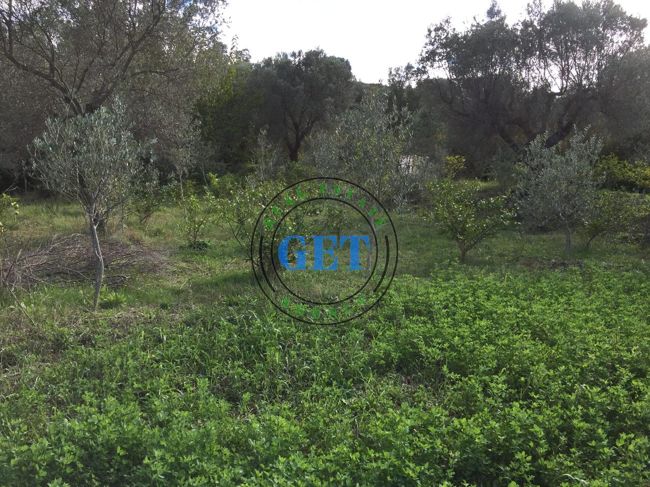 Shitet Tokë me Pamje Deti ne Karpen te Kavajës, Golem ,Durres