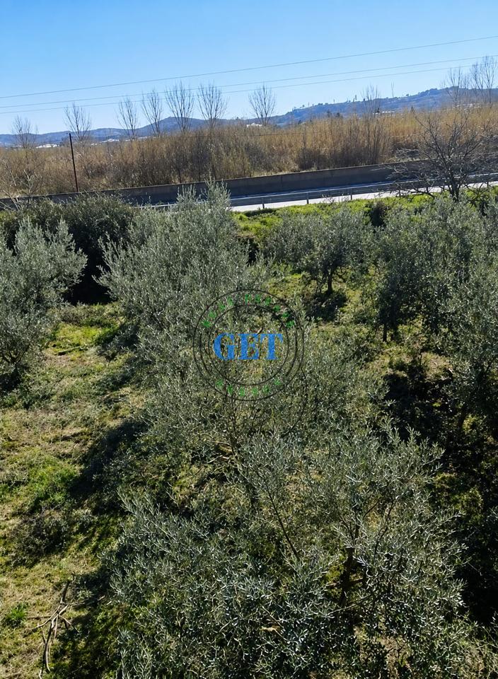 ◆ Shitet Tokë | Maminas, Tiranë-Durrës (Buzë Autostradës)