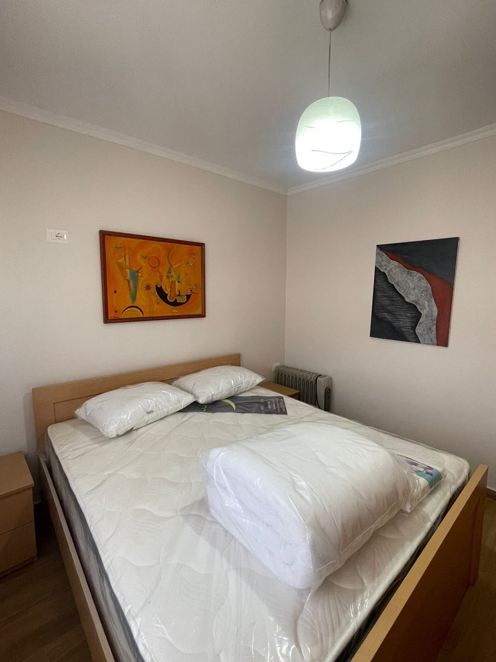 APARTAMENT ME QIRA 2+1– RRUGA MINE PEZA