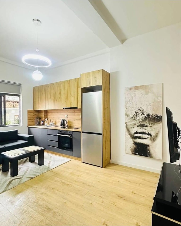 APARTMENT FOR RENT 1+1, CENTER