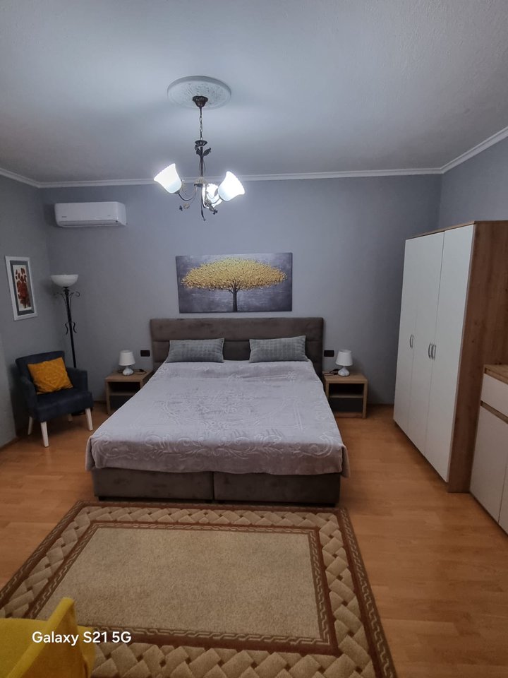 1+1 Apartment with 2 Balconies for Rent – "Petro Nini Luarasi" Street