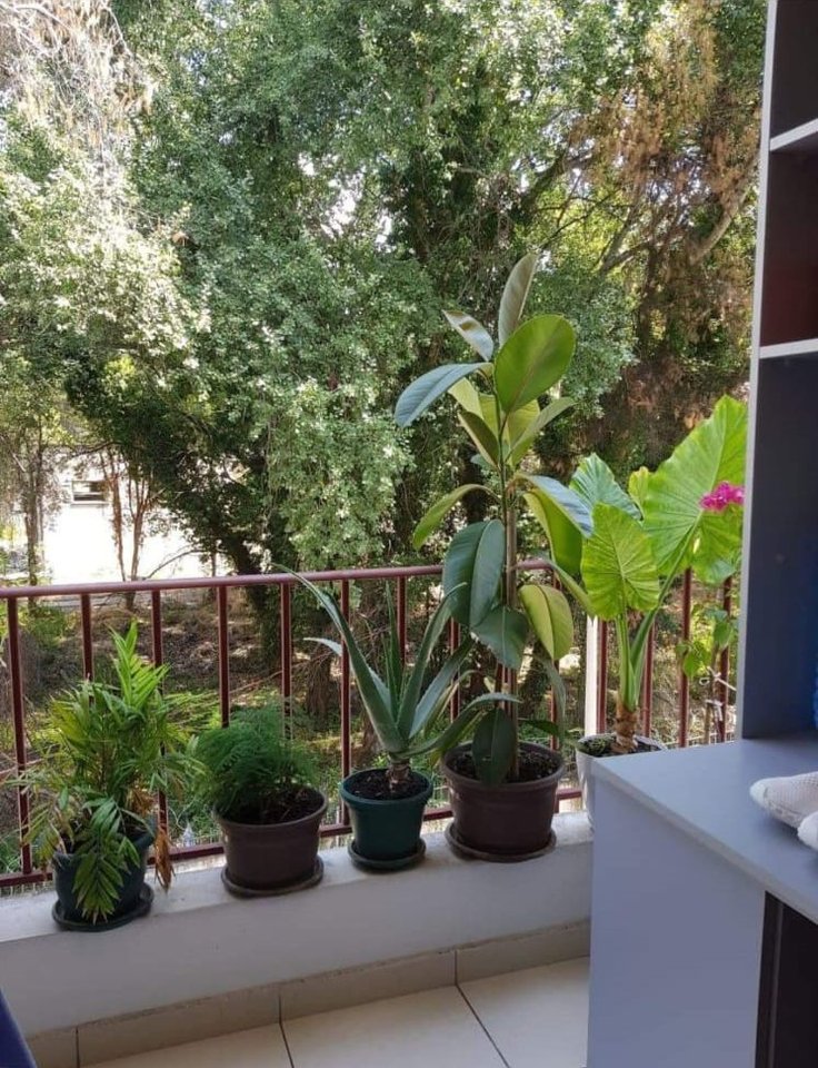 FOR RENT 1+1 APARTMENT – FRESK, SHEFQET KUKA STREET