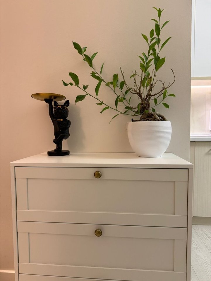 FOR SALE APARTMENT 1+1+BALCONY – ARCHITECT SINANI STREET, XHAMLLIKU