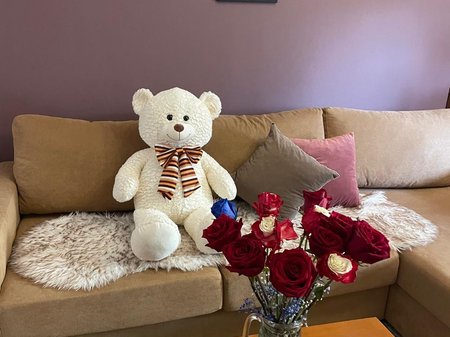 APARTMENT FOR RENT 1+1+BALCONY – AIR ALBANIA