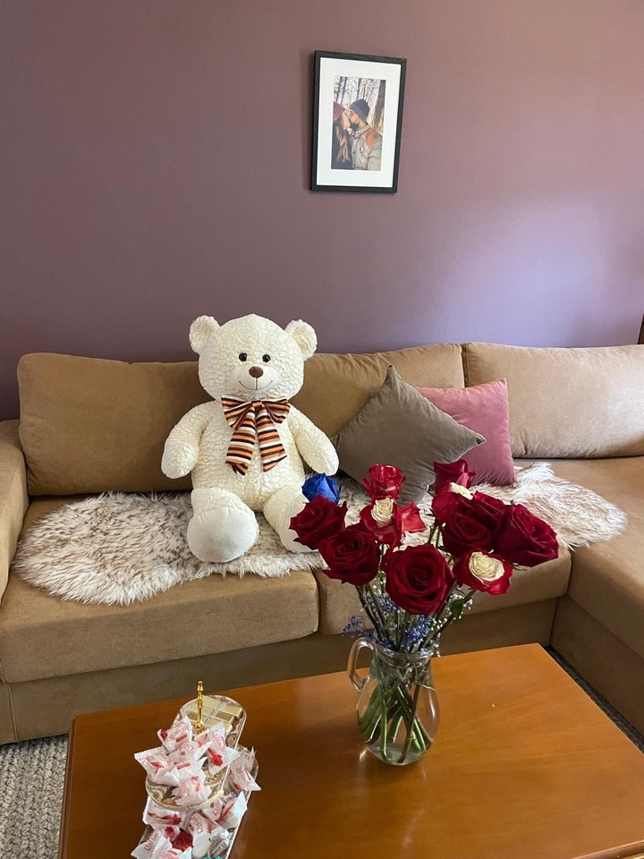 APARTMENT FOR RENT 1+1+BALCONY – AIR ALBANIA