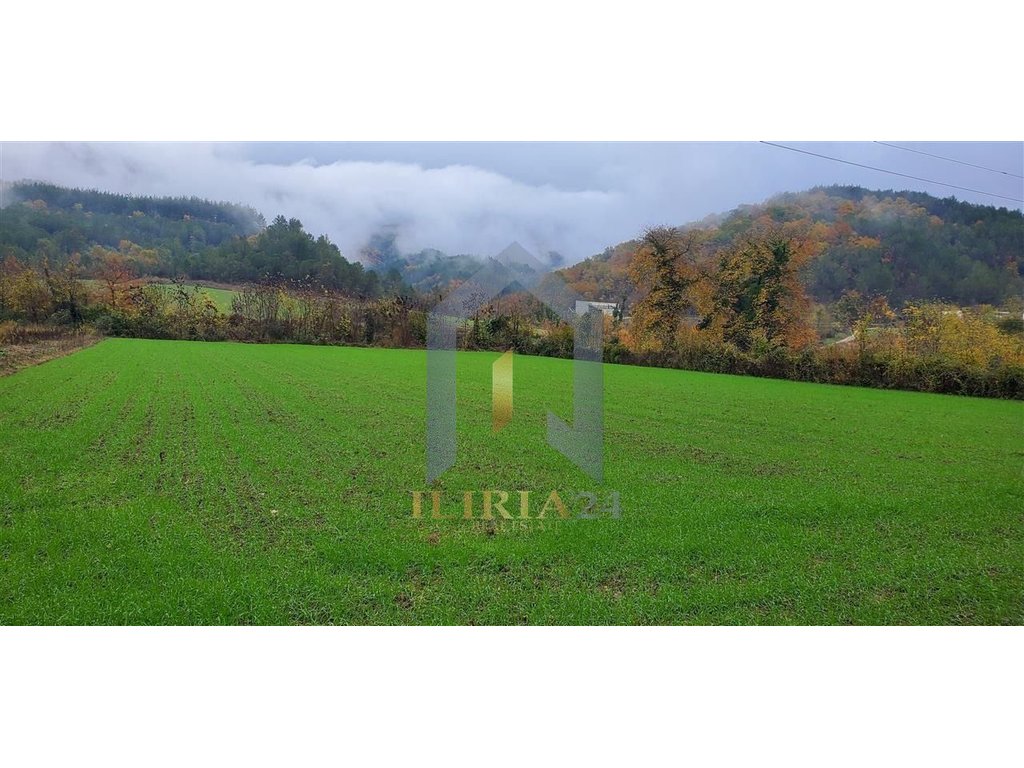 Land for Sale Petrelë High Development Potential Property