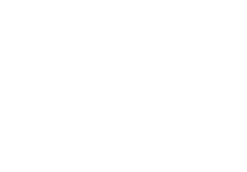 Inf93