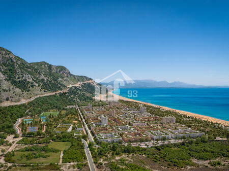 Development Image