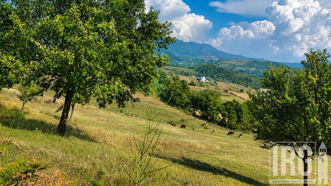 TOKE NE DAIAS, TIRANE!