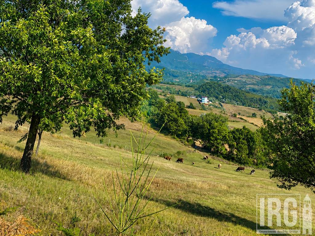 TOKE NE DAIAS, TIRANE!