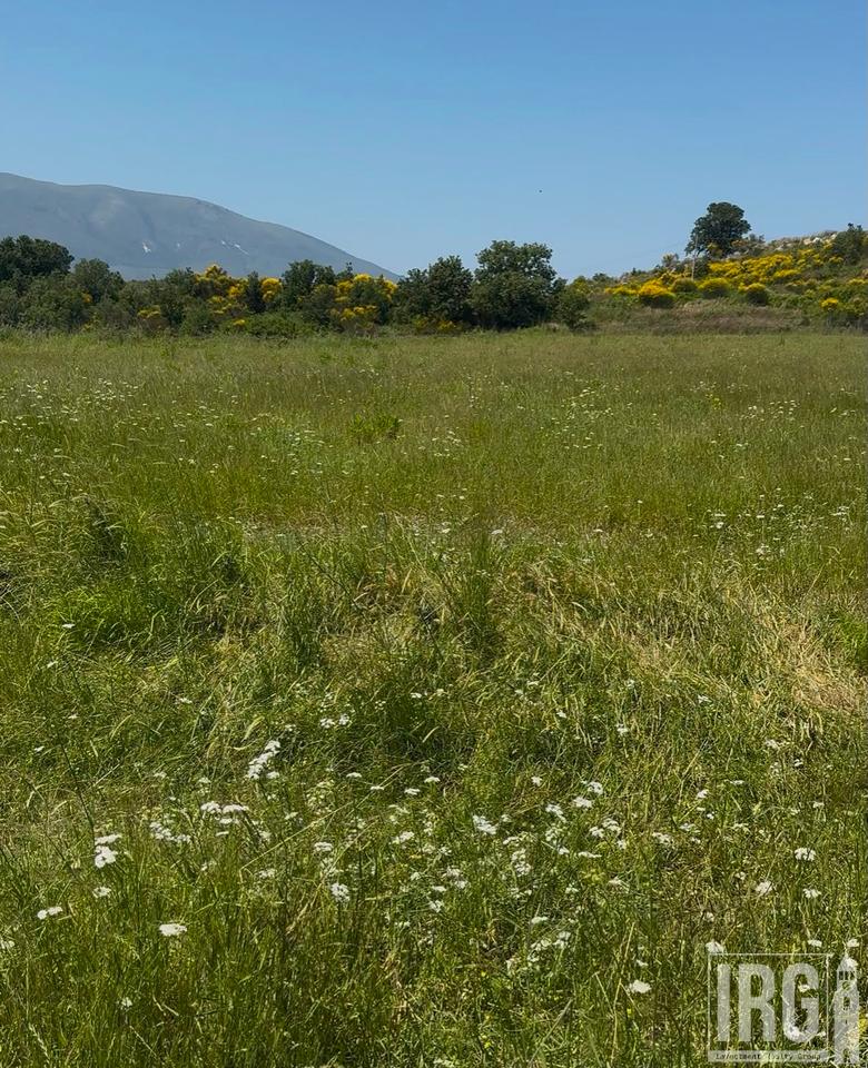 Tokë Për Shitje në Tragjas, Vlorë - 50 euro/ m²