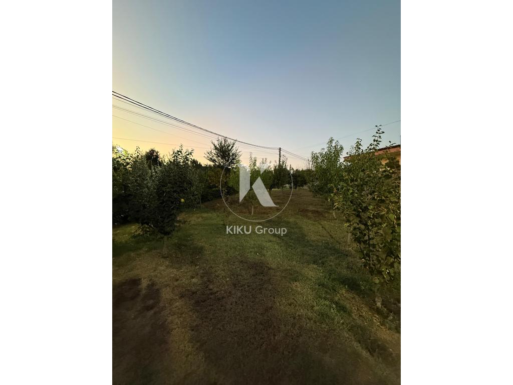 property-4