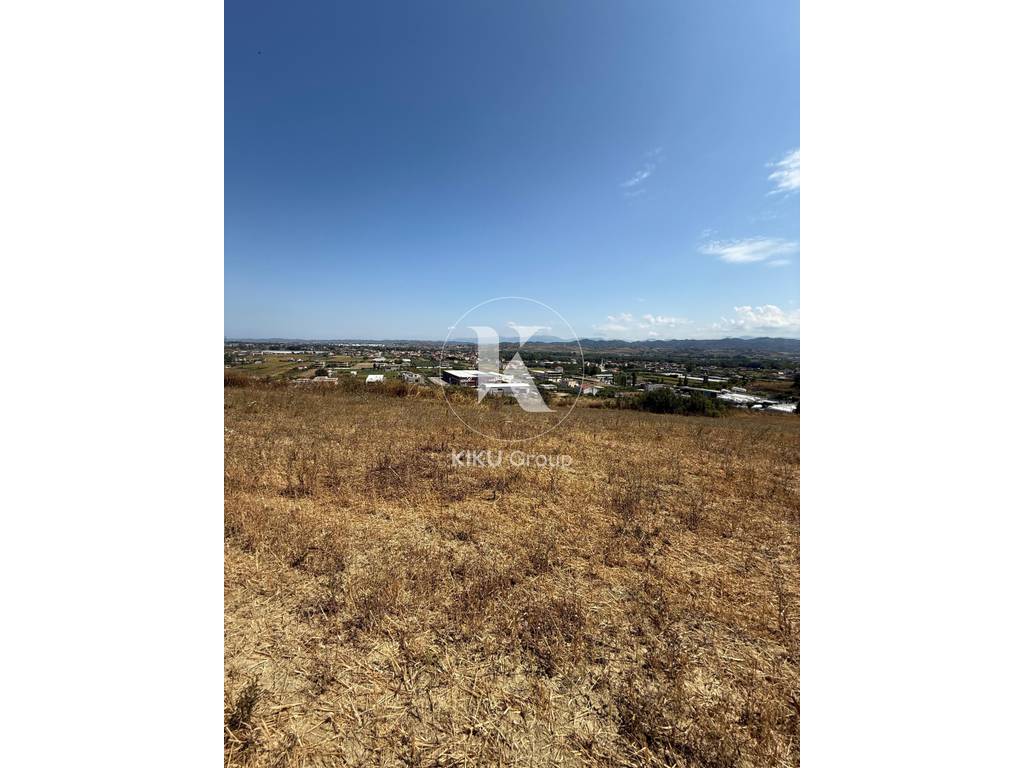property-4