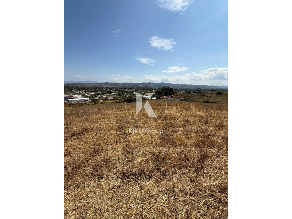 property-4