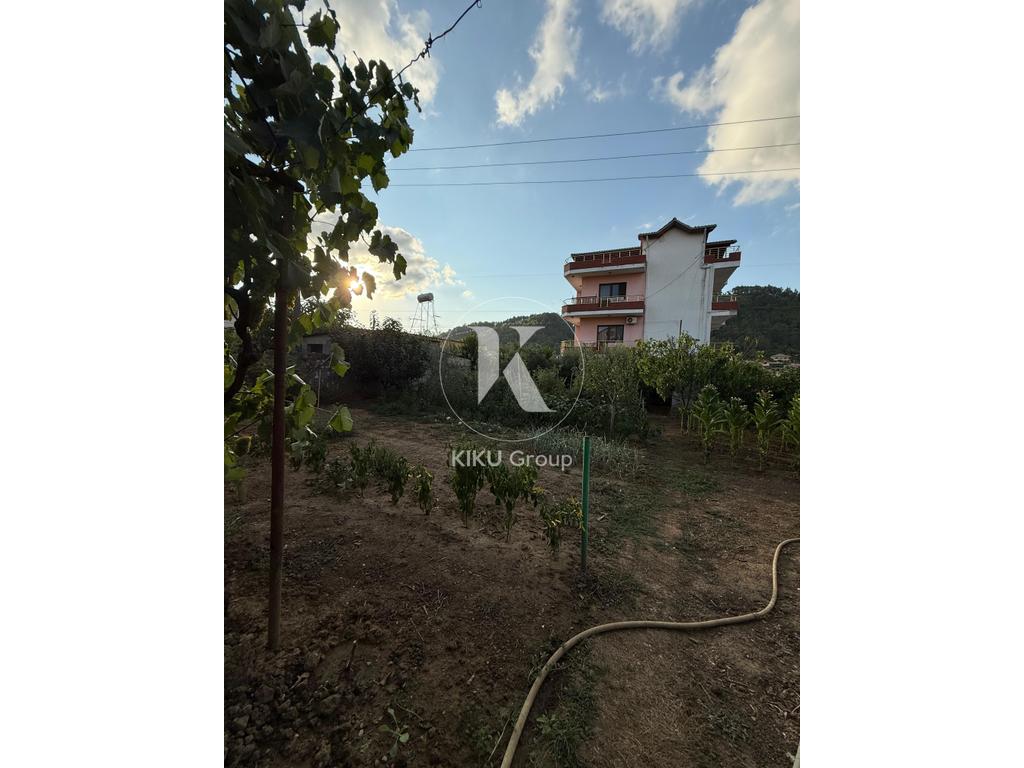 property-4