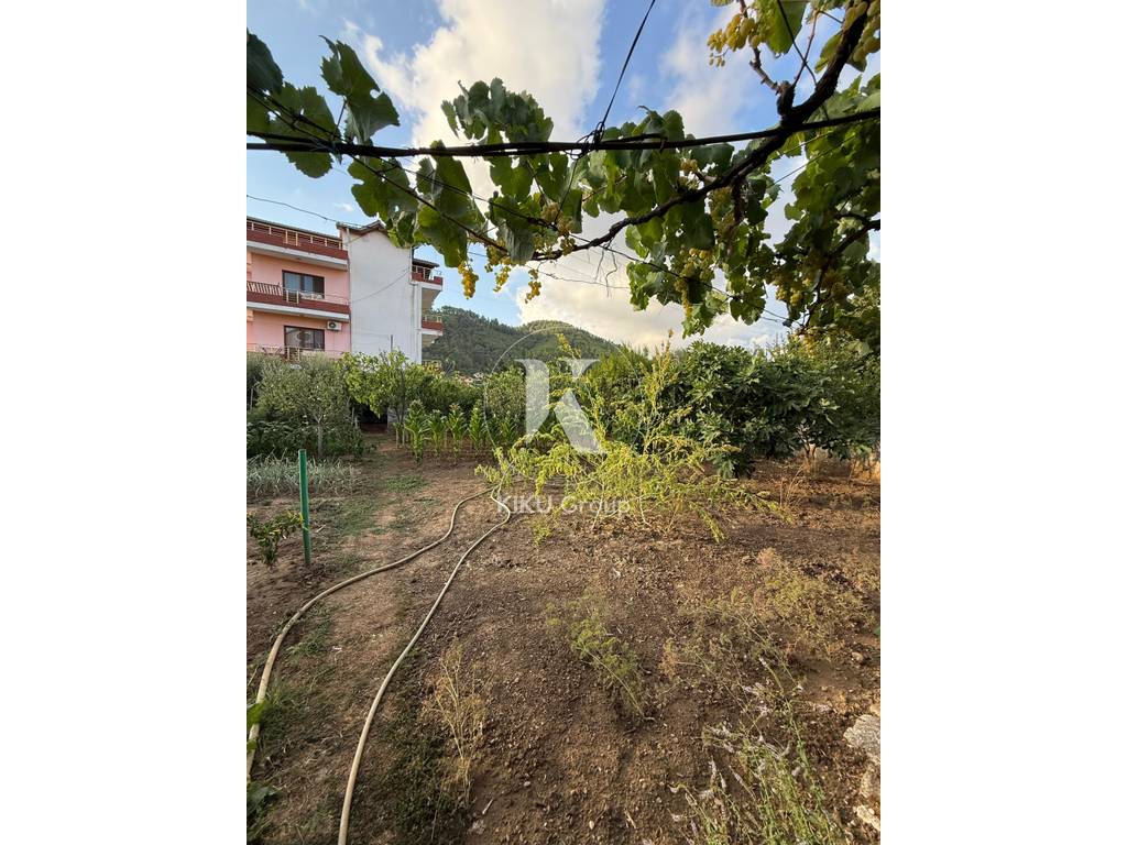 property-4