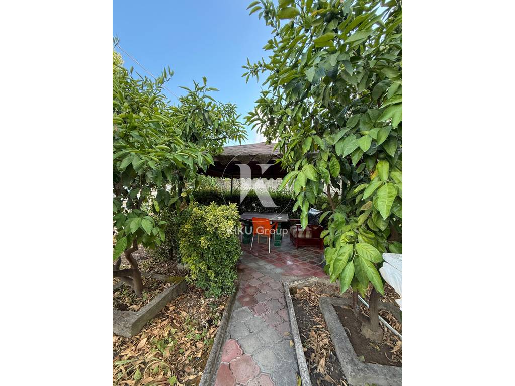 property-4