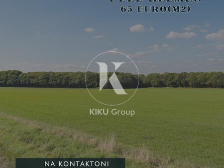 Land for Sale – Pezë Helmës