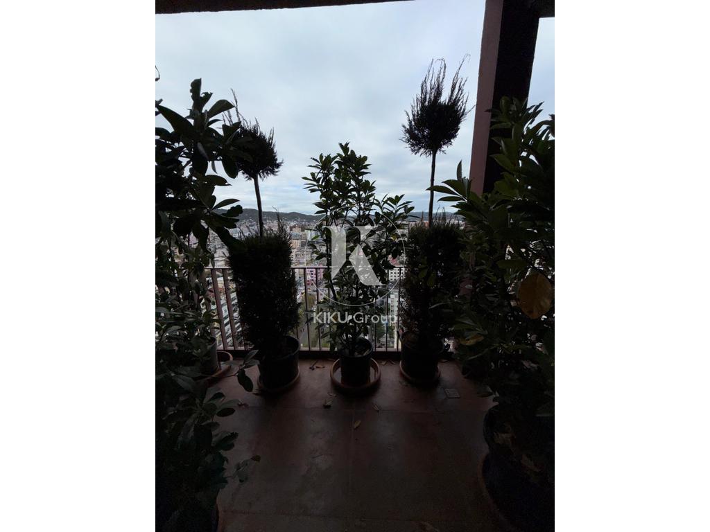 property-4