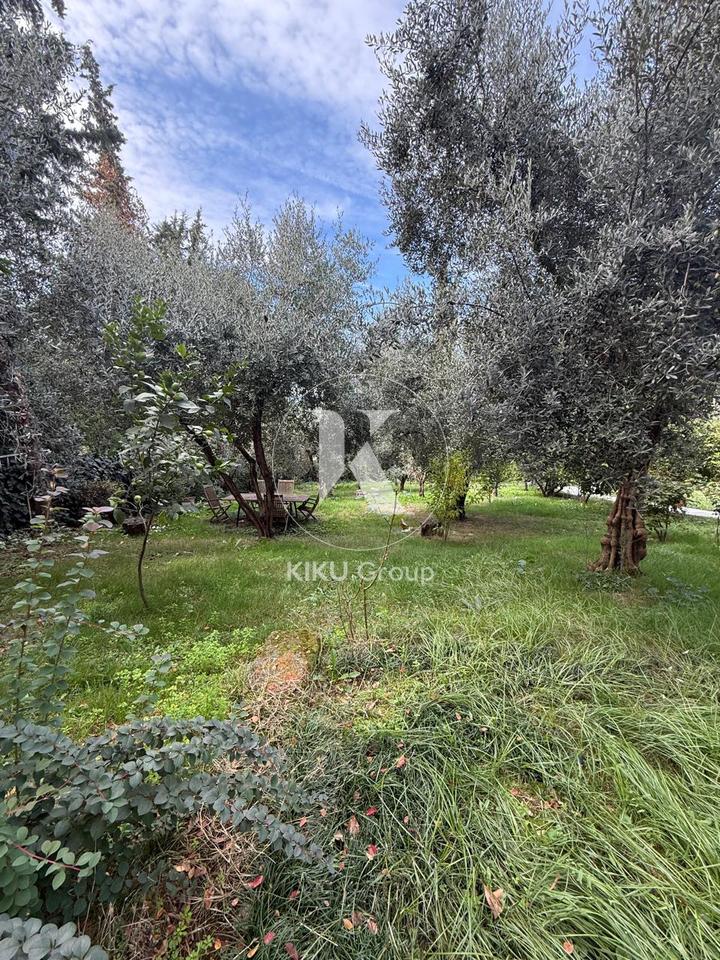 Villa in Affitto – Lago di Farka