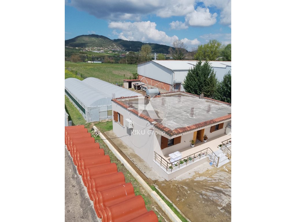 property-4