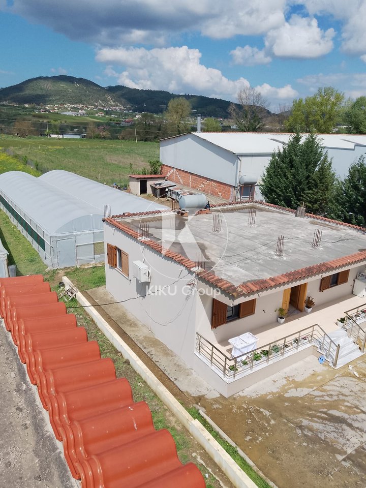 Private House for Sale in Pezë-Helmës