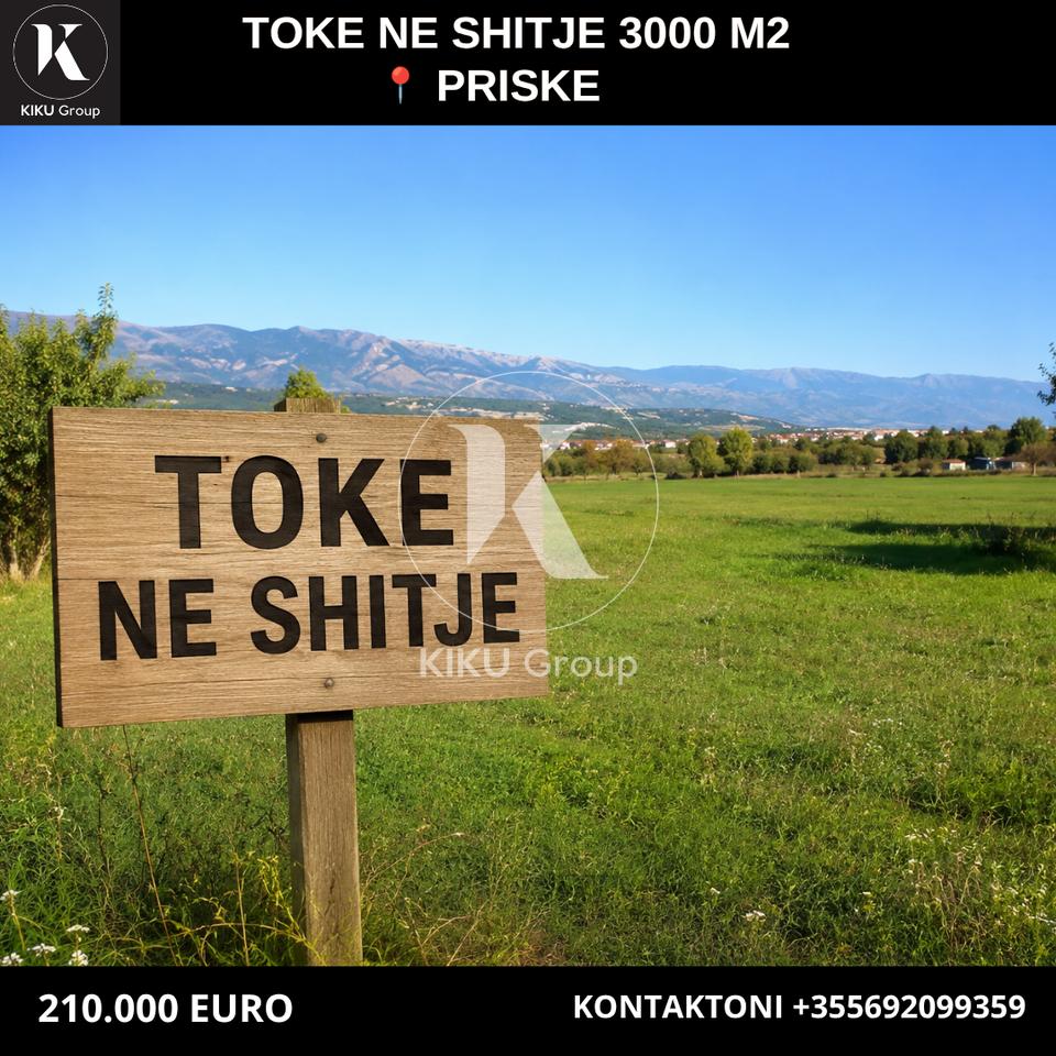Land for Sale 3,000 m² – Priskë, Dajt
