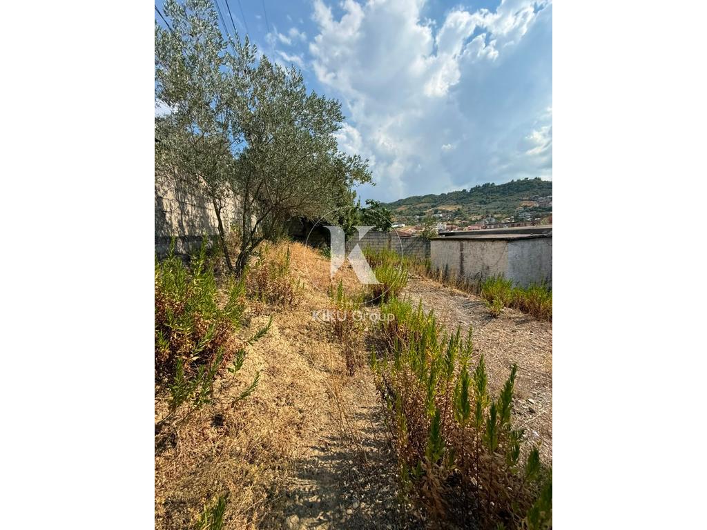 property-4