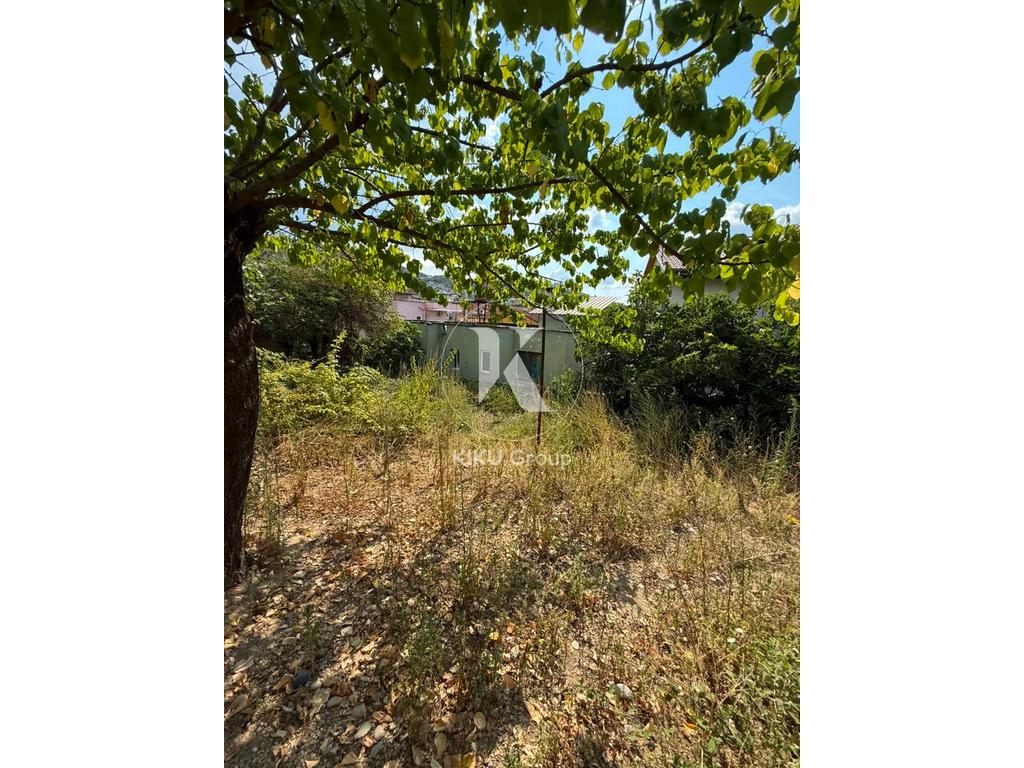 property-4