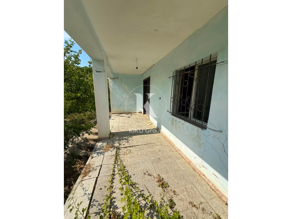property-4