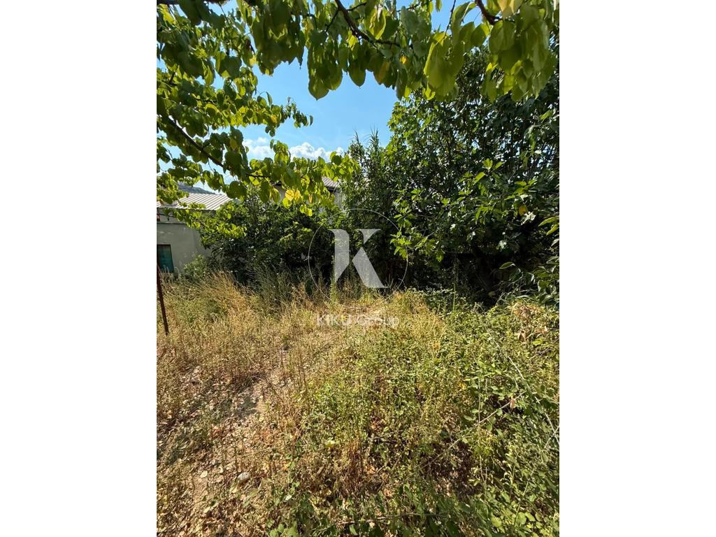 property-4