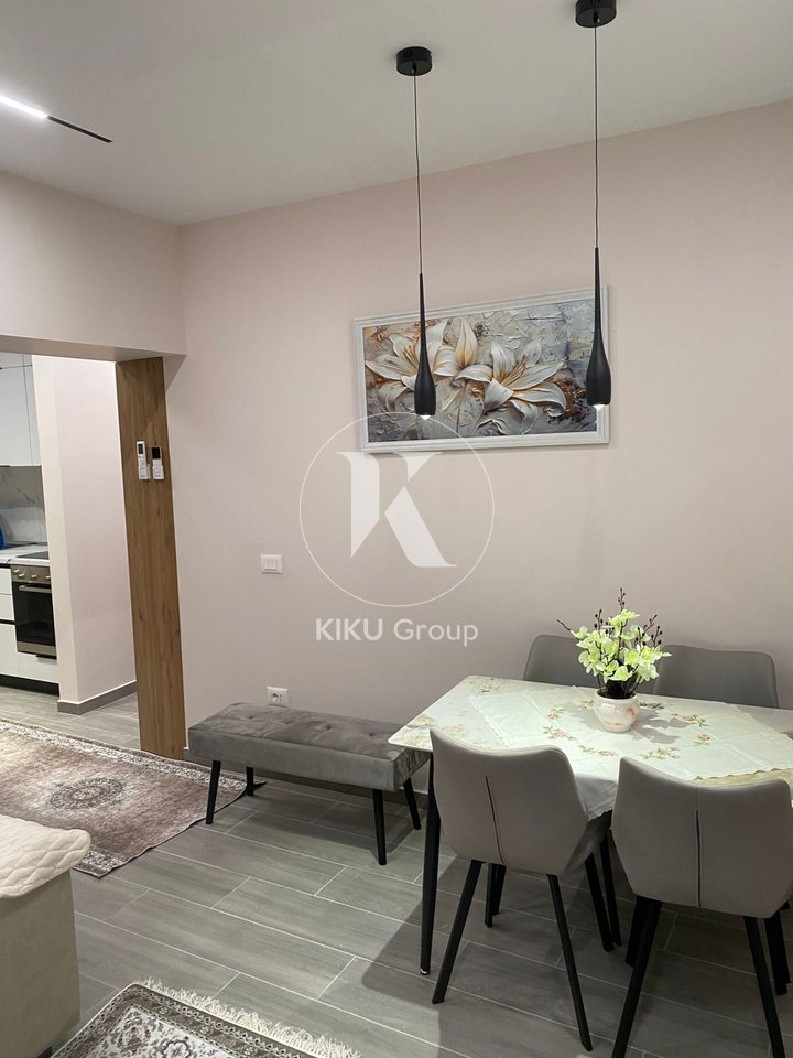 Apartament 1+1 me Qira – Rruga e Elbasanit