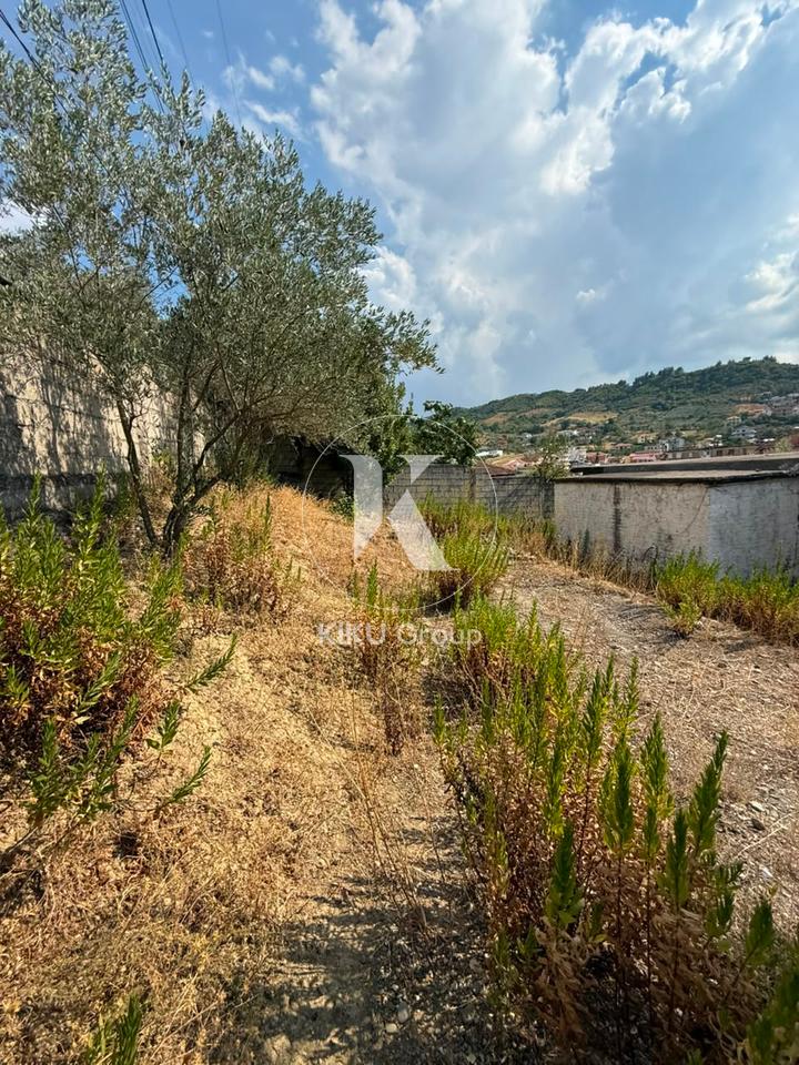 Vendesi Casa Vecchia con Terreno – Kombinat