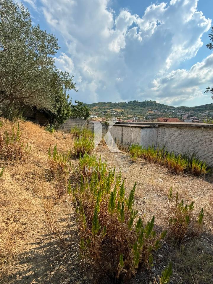 Vendesi Casa Vecchia con Terreno – Kombinat