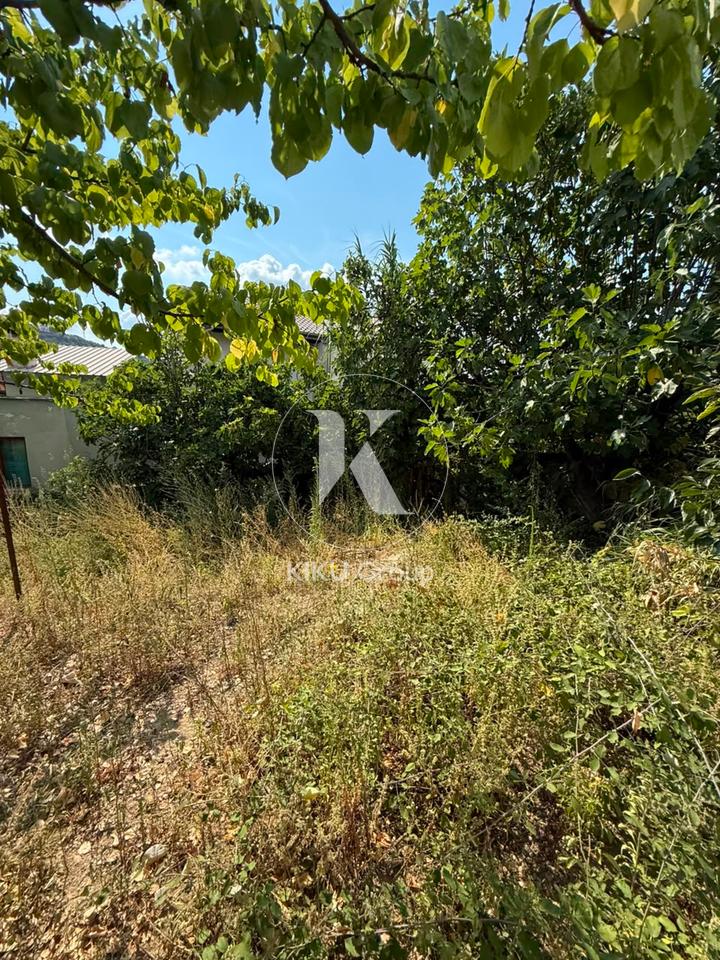Vendesi Casa Vecchia con Terreno – Kombinat