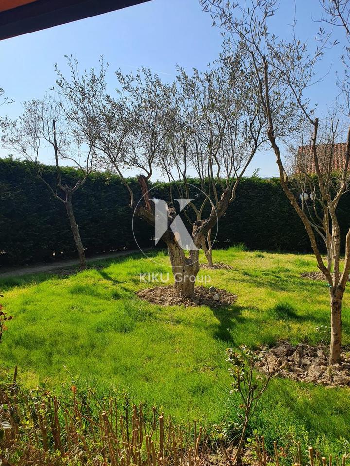 Shitet vile 
2 Kate + 1 kat nentoke