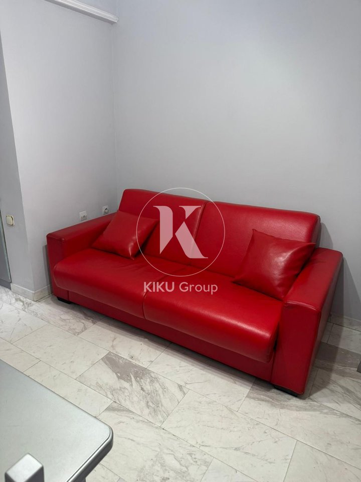 Apartment 1+1 for rent Dinamo Stadium