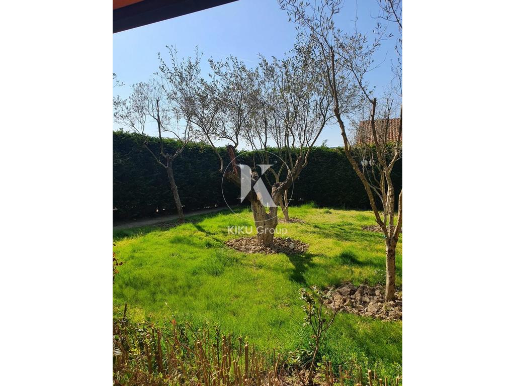 property-4