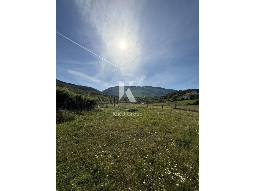 property-4
