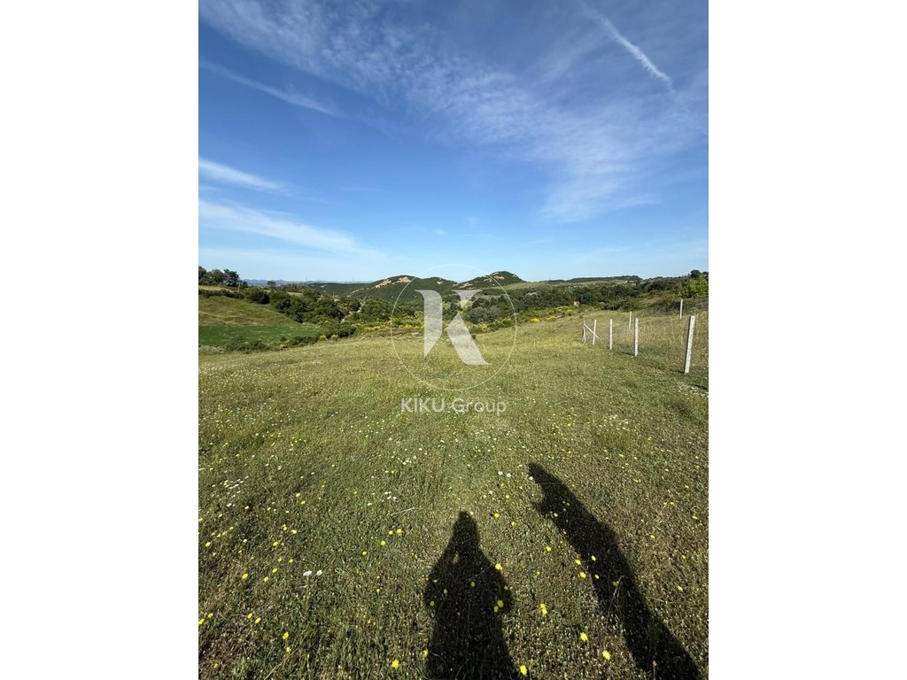 property-4