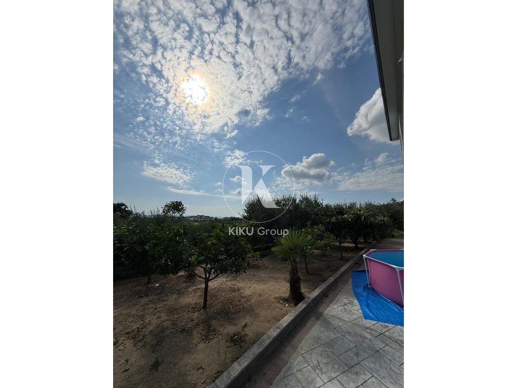 property-4
