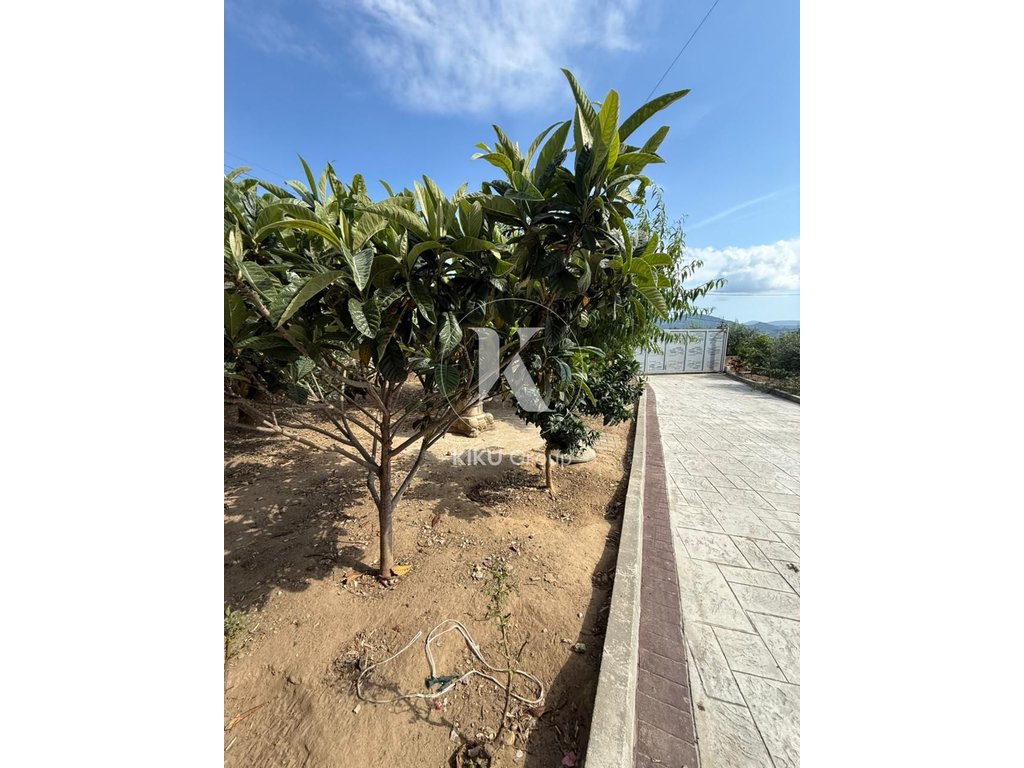 property-4