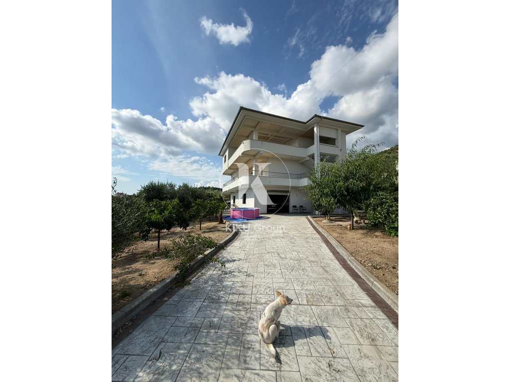 property-4